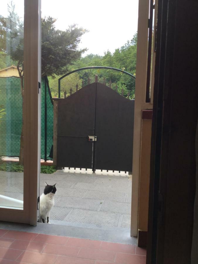 Ferienwohnung Casa Taiuti San Piero a Sieve Exterior foto